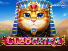 Chp profil fotoğrafı. Cool cat casino mobile.28